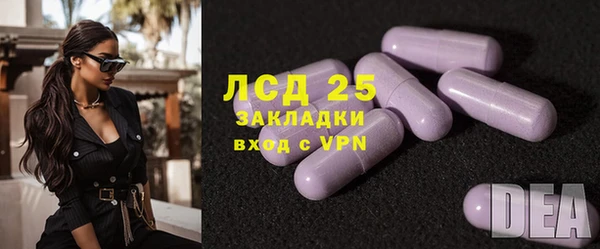 хмурый Аркадак
