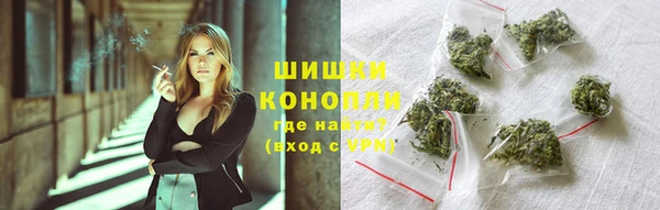 хмурый Аркадак