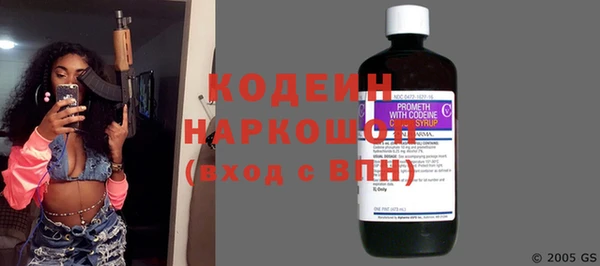 хмурый Аркадак