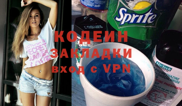 хмурый Аркадак