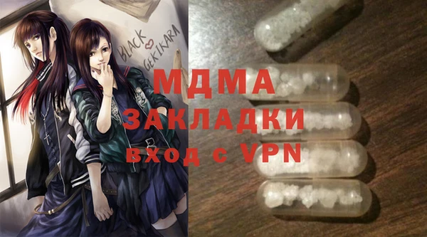 хмурый Аркадак